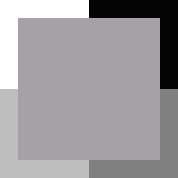 Gris éléphant – Image 3