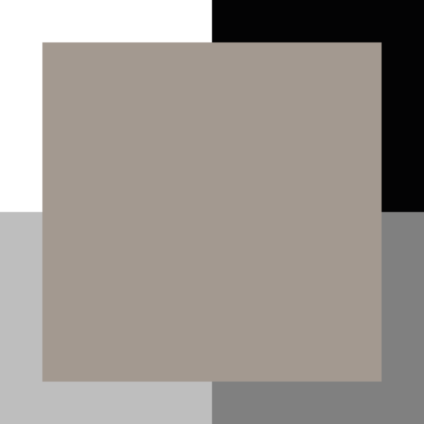 Nature ombre – Image 3