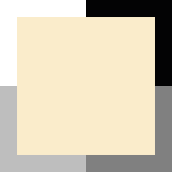 Vanille – Image 3