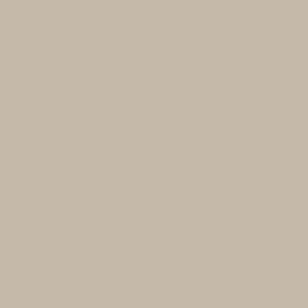 Beige grège – Image 2