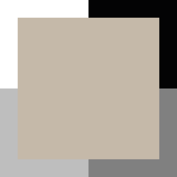 Beige grège – Image 3