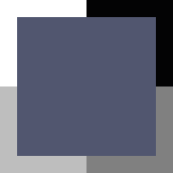 Bleu hortensia – Image 3