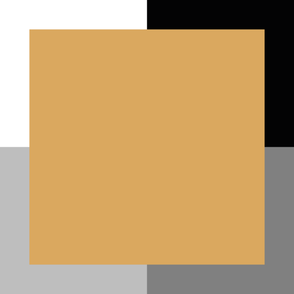 Curry doux – Image 3