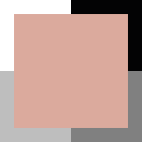 Touche de tulipe – Image 3