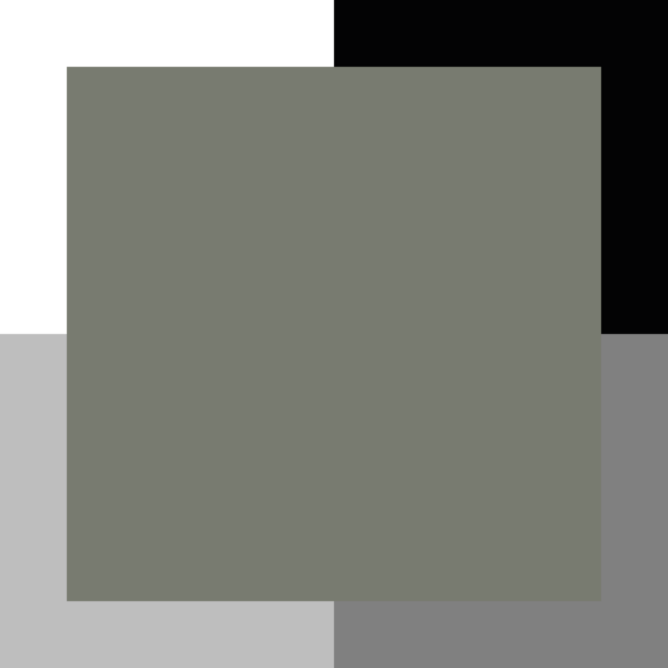 Vert bronze – Image 3