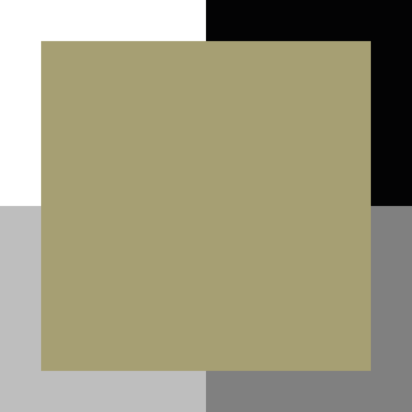 Vert olive – Image 3